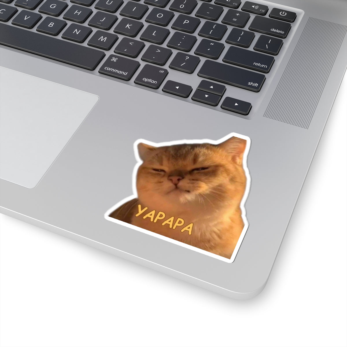 Funny Cat 'YAPAPA' Kiss-Cut Sticker - Grumpy Cute Laptop Decal