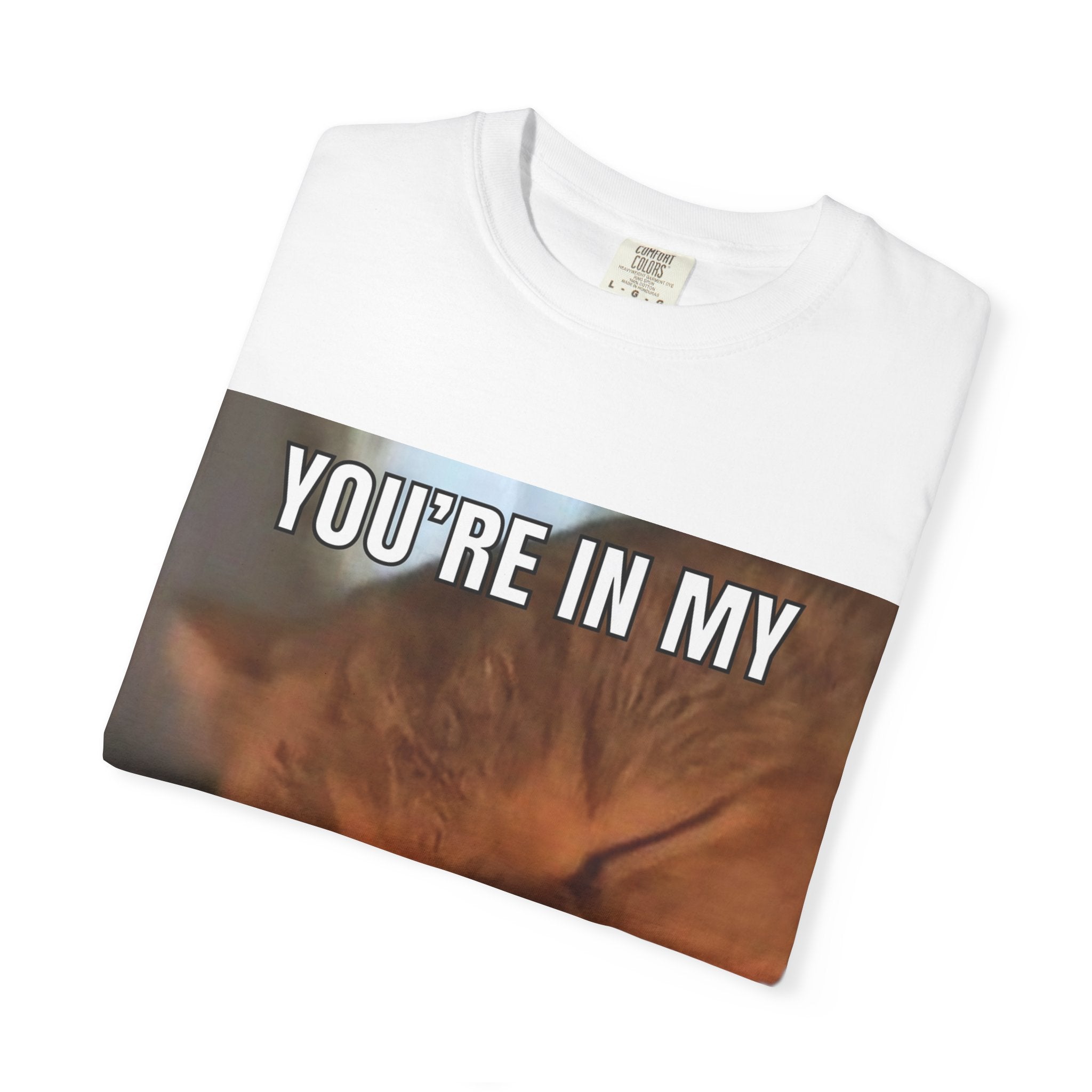 Personal Space Bubble T-Shirt — Funny Cat Graphic Tee